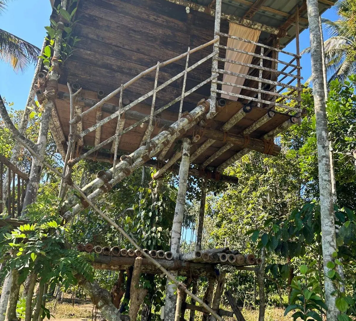 Lotus Jewel Forest Camping Sultan Bathery Luksusowy namiot