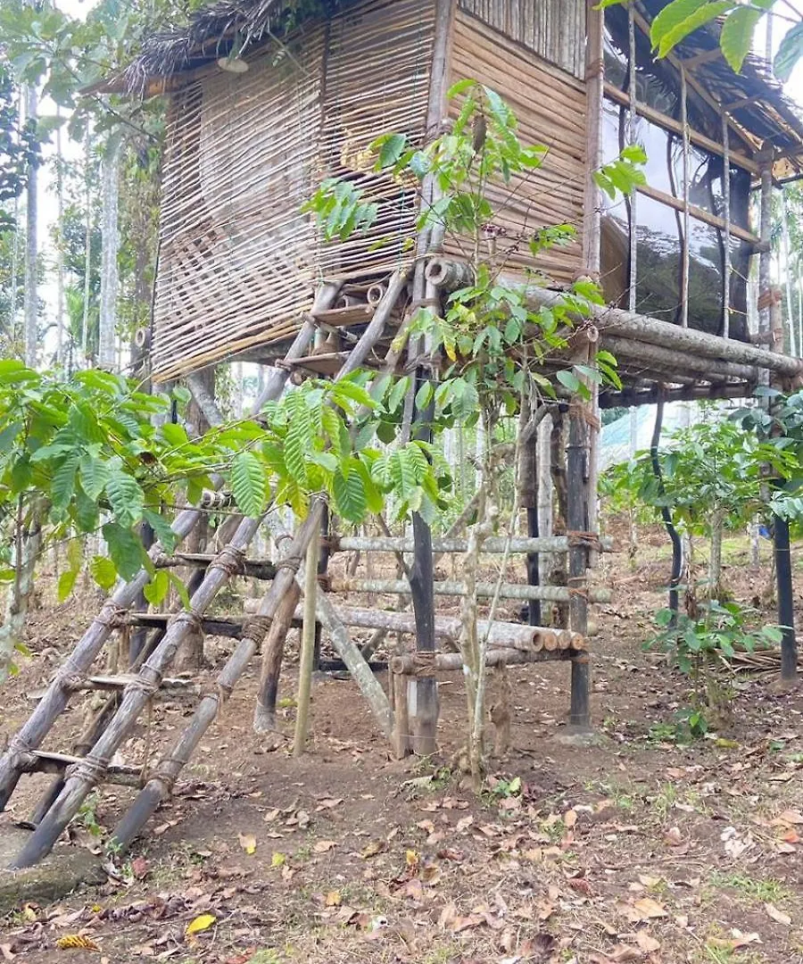 Lotus Jewel Forest Camping Sultan Bathery Luksusowy namiot