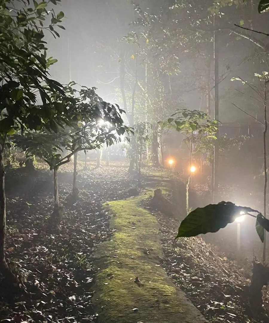 Lotus Jewel Forest Camping Sultan Bathery Indie