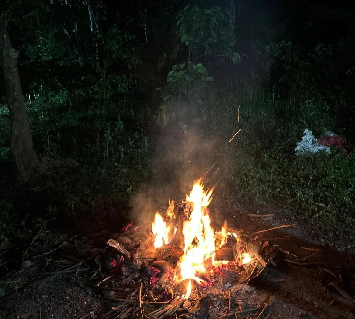 Luksusowy namiot Lotus Jewel Forest Camping Sultan Bathery